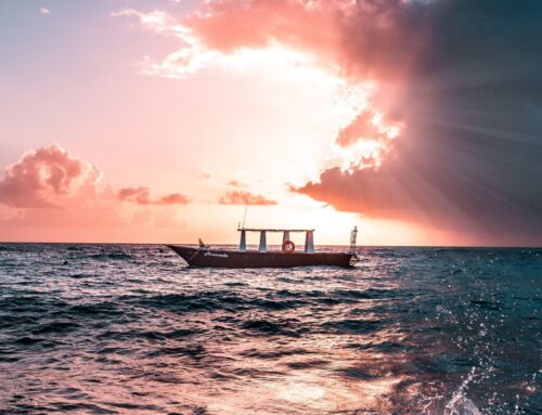 Black Sea Cruise